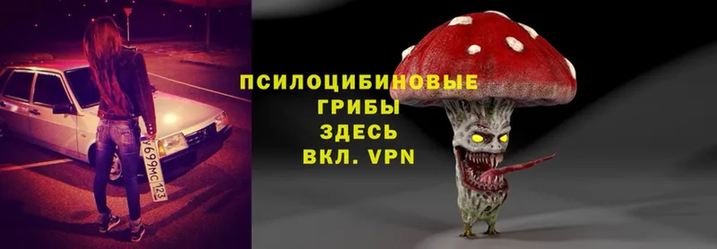 Галлюциногенные грибы Cubensis Десногорск